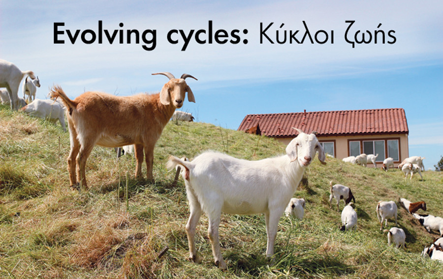 Evolving_cycles-Kykloi_zwhs.jpg