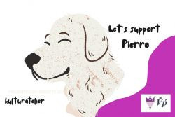 Περισσότερα...