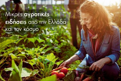 Περισσότερα...