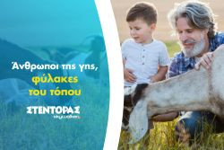 Περισσότερα...