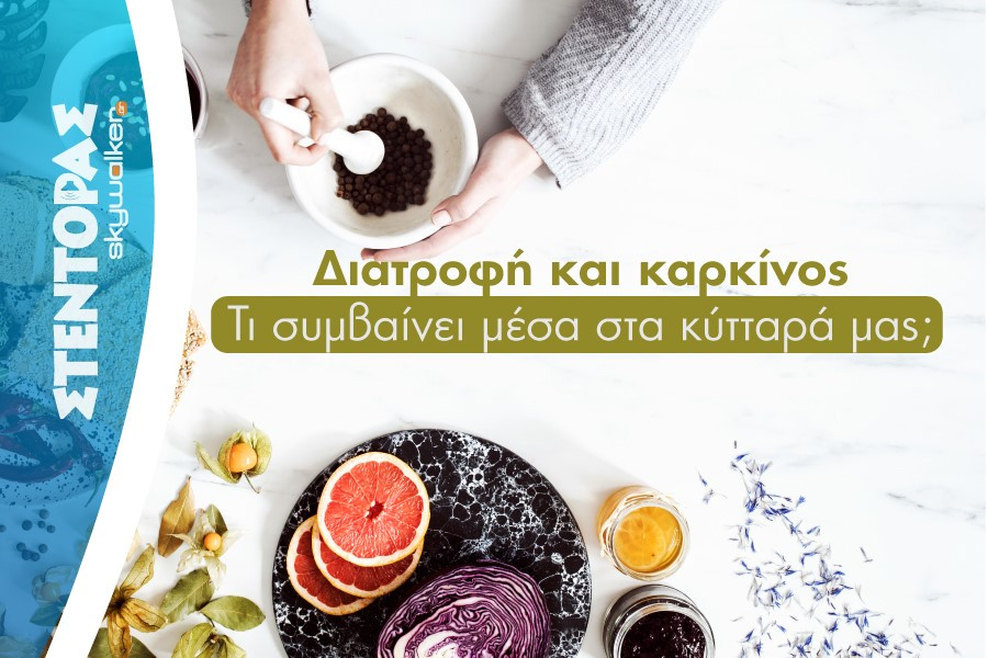 Koutsi2026.jpg