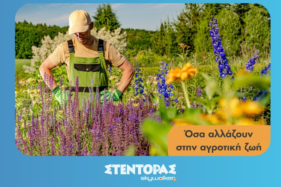 Agronea5_10_2026.jpg