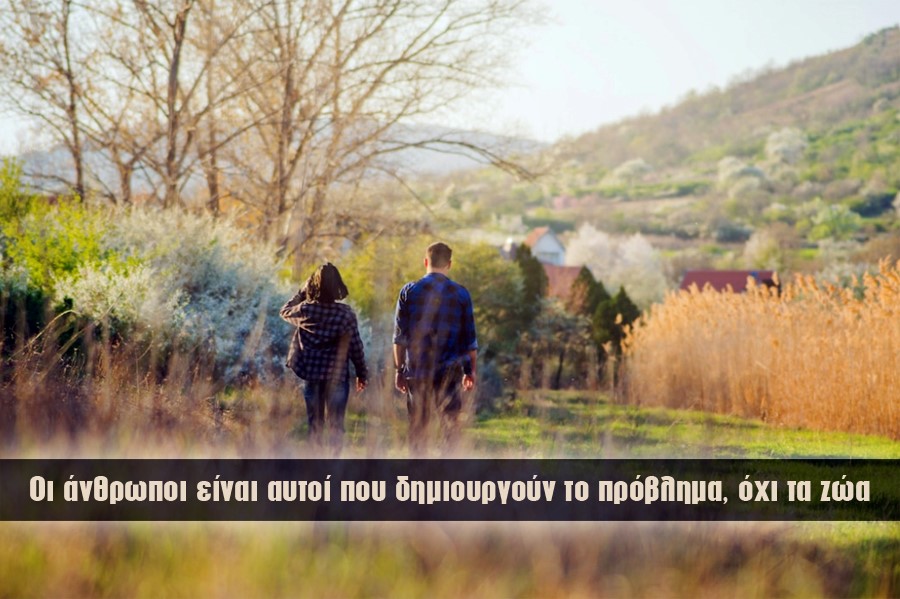 Τα «ΑγροΝέα» στα ορεινά